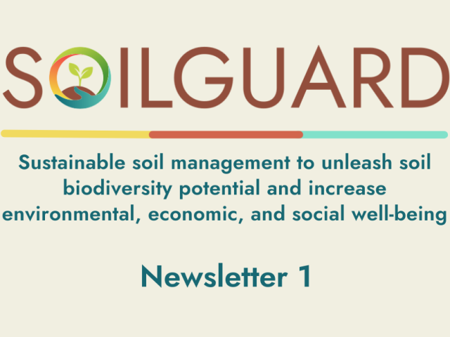 Mailchimp Newsletter Top SOILGUARD banner