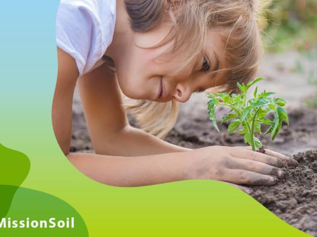 news-mission-soil-manifesto_600x400