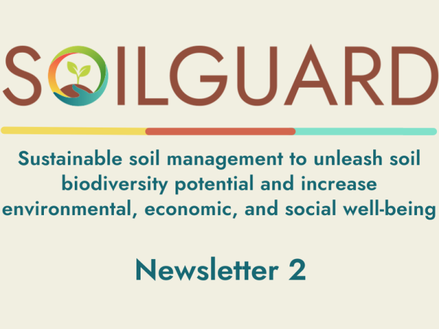 Mailchimp Newsletter Top SOILGUARD banner (1)