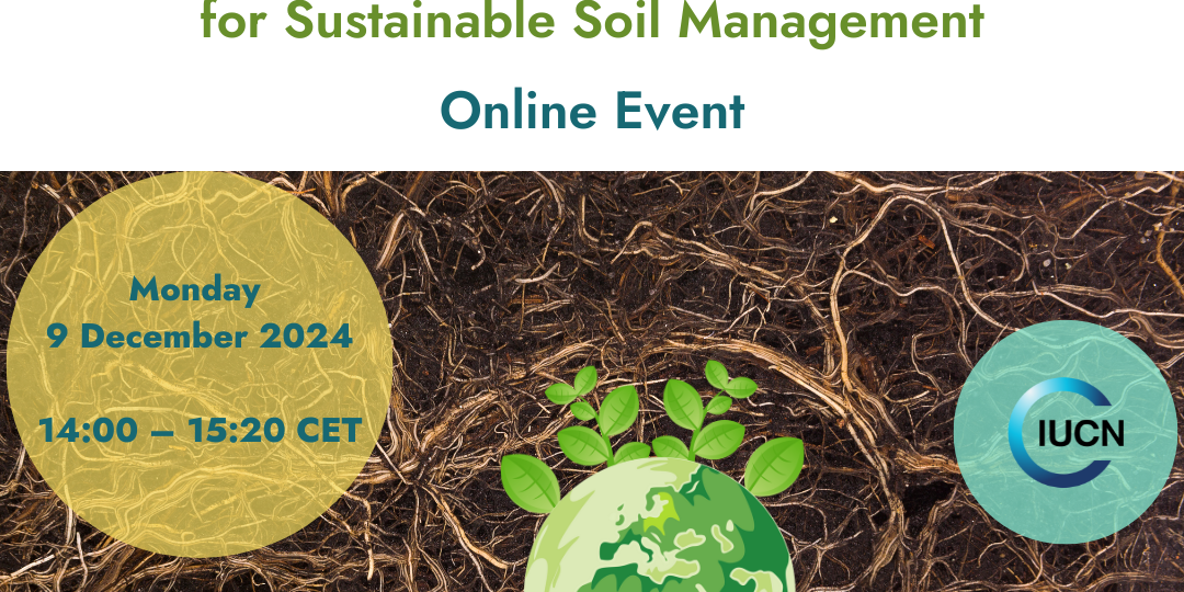 Bridging Global and EU Policy for Sustainable Soil Management