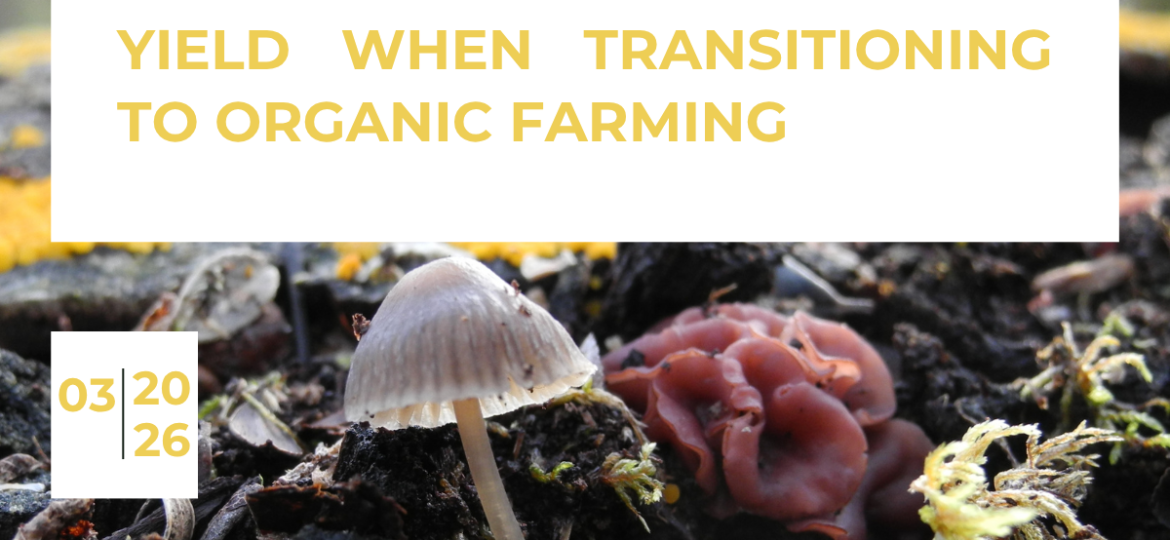 White and Green Simple Journal Research Cover (1)